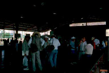 The Flores airport.