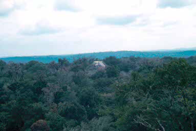 The Lost Worlds Pyramid from Temple IV.