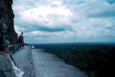 The horizon from Temple IV.