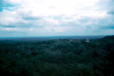 The horizon from Temple IV.