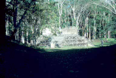 Ceibal.