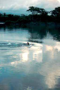 Rebecca swimming.