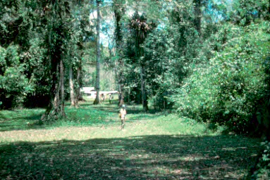 Path to airstrip.