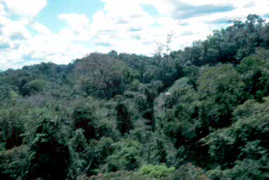 Bonampak from air.