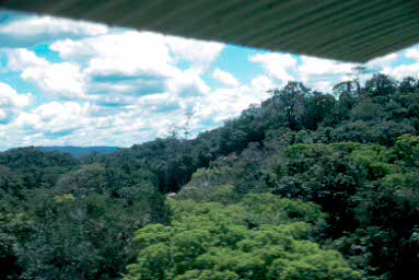 Bonampak from air.