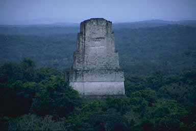 Temple III from the top of Temple IV