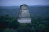 Temple III from the top of Temple IV