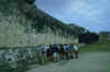 Group examining inscription on the side of the ballcourt