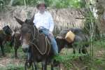Greg Reddick on a mule.