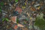 Various polychrome pottery shards from a looters trench.