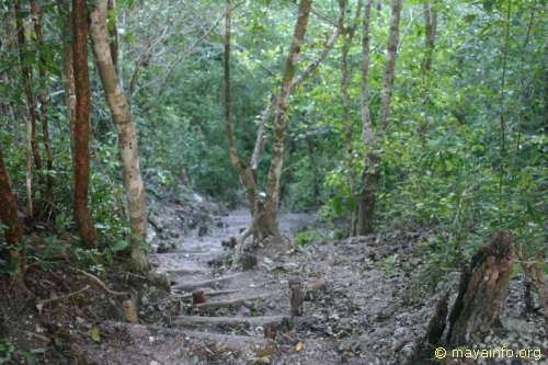 A look down the stairs from the top of Temple 1 at Nakbe.