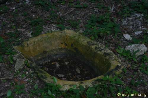 A modern cistern in the main plaza at Nakbe providing water to animals.