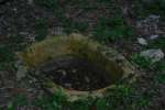 A modern cistern in the main plaza at Nakbe providing water to animals.