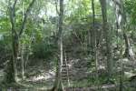 The stairs up at Nakbe.