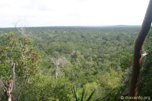 View from top of Nakbe Temple.