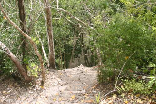 Stairs down at Nakbe.