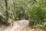 Stairs down at Nakbe.