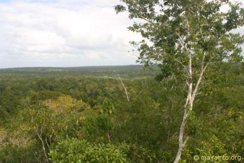 El Tigre panorama shot 3.