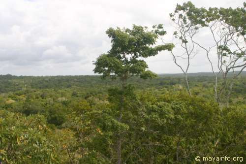 El Tigre panorama shot 6.