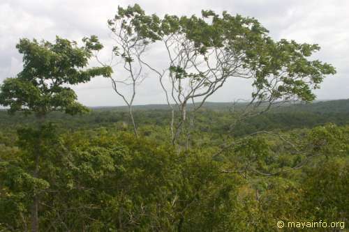 El Tigre panorama shot 7.