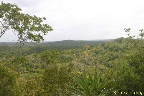 El Tigre panorama shot 8.