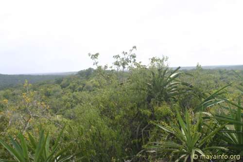 El Tigre panorama shot 9.