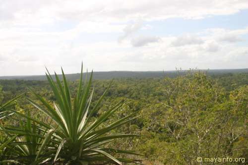 El Tigre panorama shot 11.