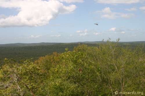 El Tigre panorama shot 16.