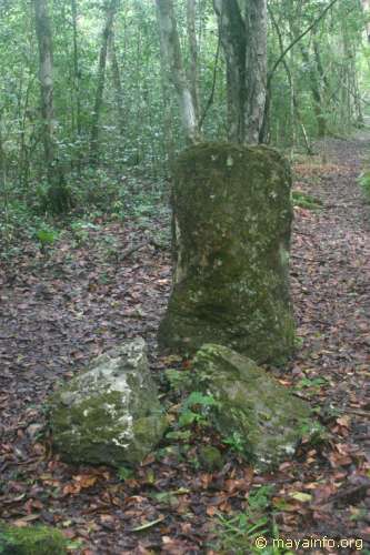 Eroded Stela at El Mirador near La Danta complex.