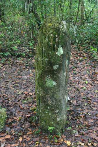 Eroded stela near La Danta complex at El Mirador.