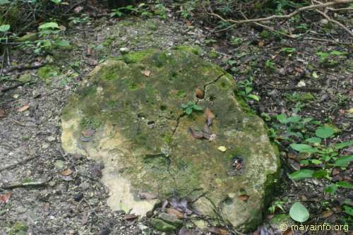 Fragment of a stela.