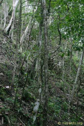 View of stone wall on back side of La Danta pyramid at El Mirador.