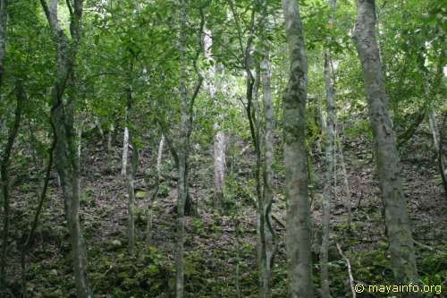 The base of La Danta at El Mirador.