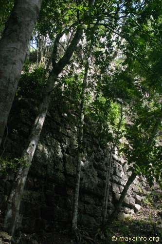 Wall on side of La Danta pyramid at El Mirador.