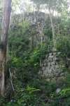 Wall on side of La Danta pyramid at El Mirador.