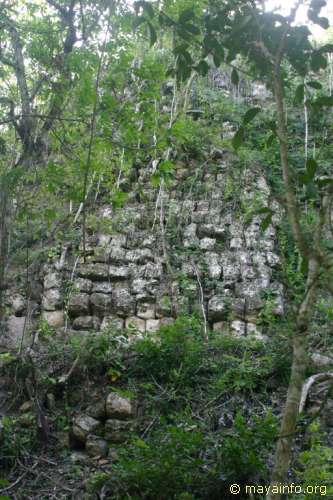 Wall on side of La Danta pyramid at El Mirador.