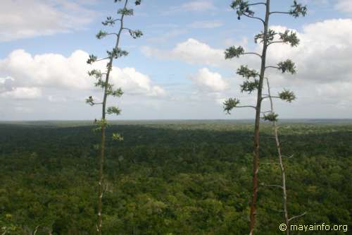 La Danta panorama shot #2.