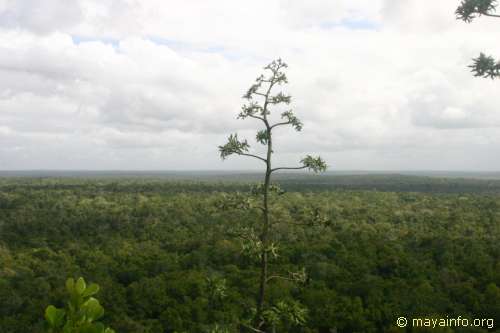 La Danta panorama shot #4.