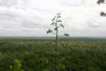 La Danta panorama shot #4.