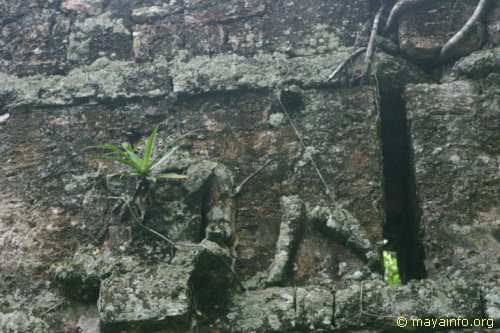 Figure on La Maralla roofcomb.