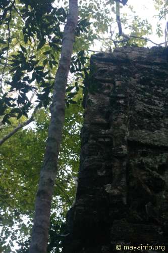 Corner of La Maralla roofcomb.