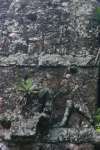 Figure on La Maralla roofcomb.