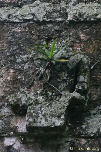 Figure on La Maralla roofcomb.