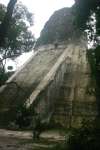 Tikal Temple V.